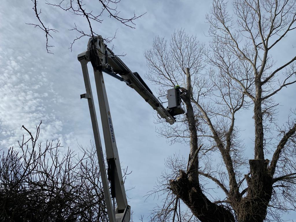 Manutenzione aree verdi