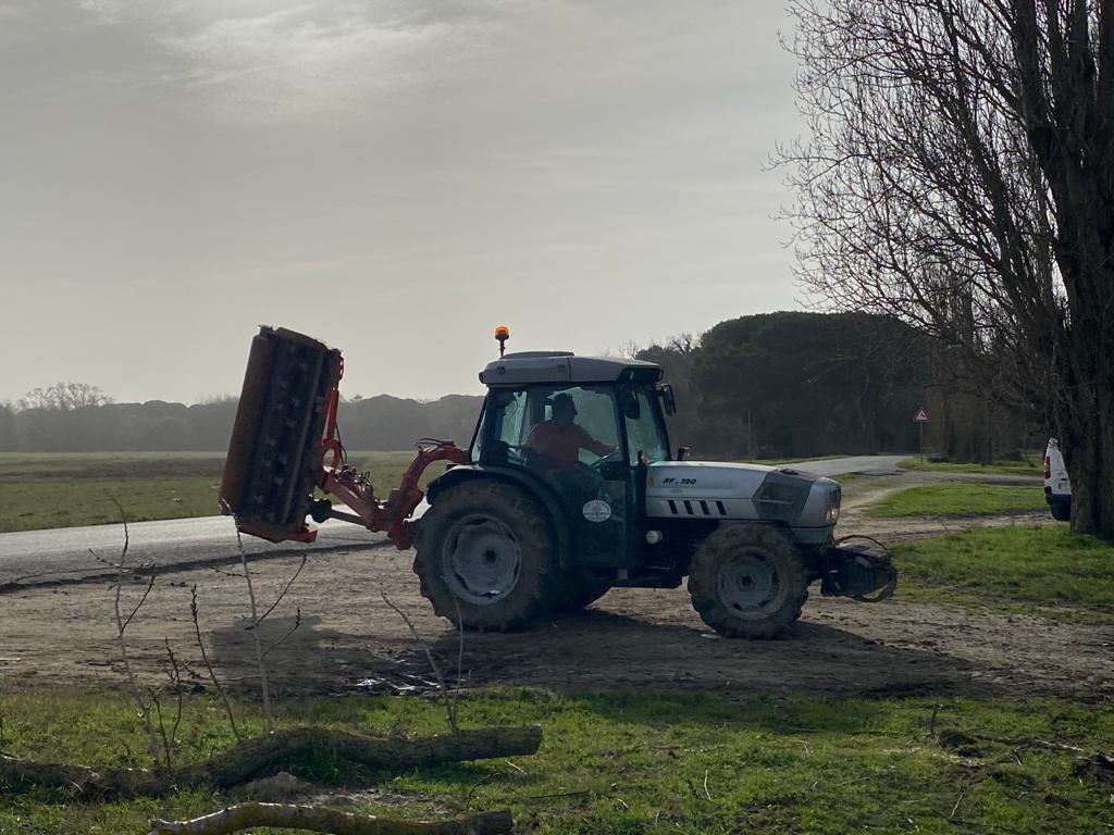 Manutenzione aree verdi