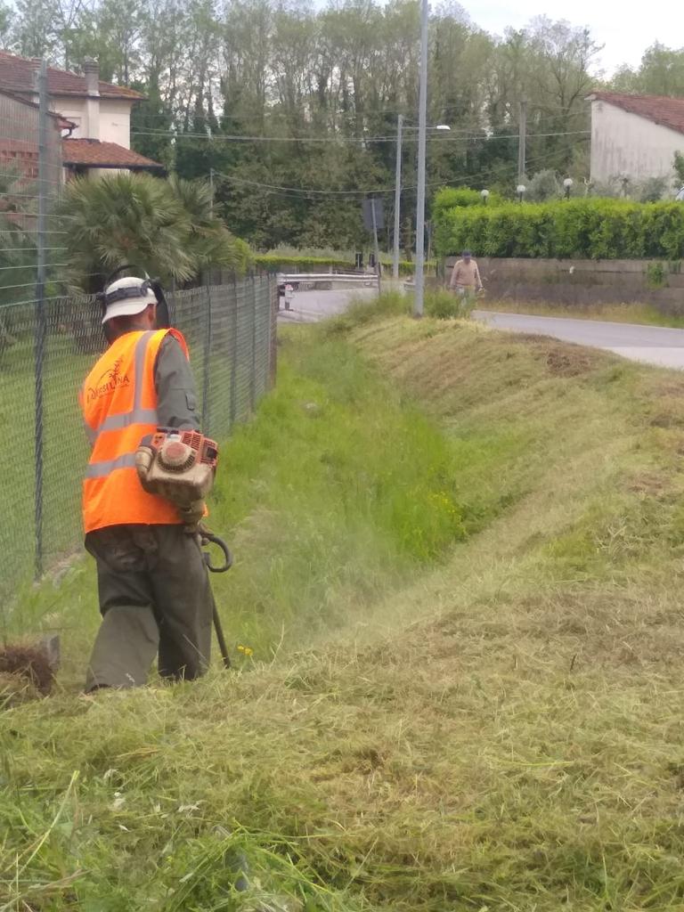 Manutenzione aree verdi