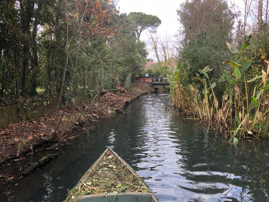 Manutenzione aree verdi