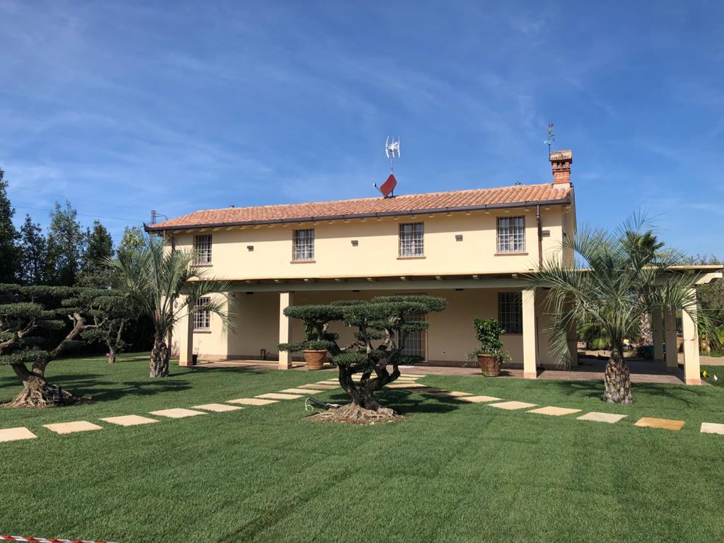 Manutenzione aree verdi