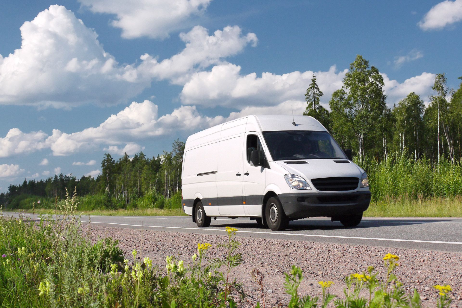 Una camioneta blanca circula por un camino de tierra.