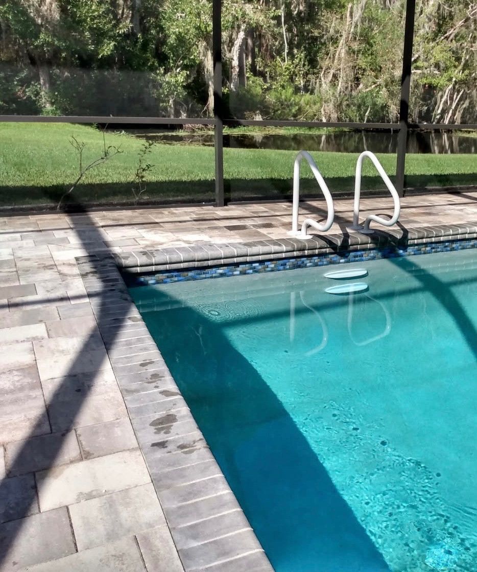 Swimming pool with white rails, surrounded by paved patio and screened enclosure. Green grass and trees in background.