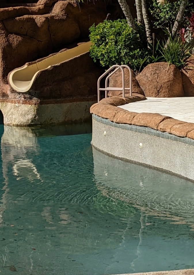 Swimming pool with slide, rock features, and a tan-colored pool edge.