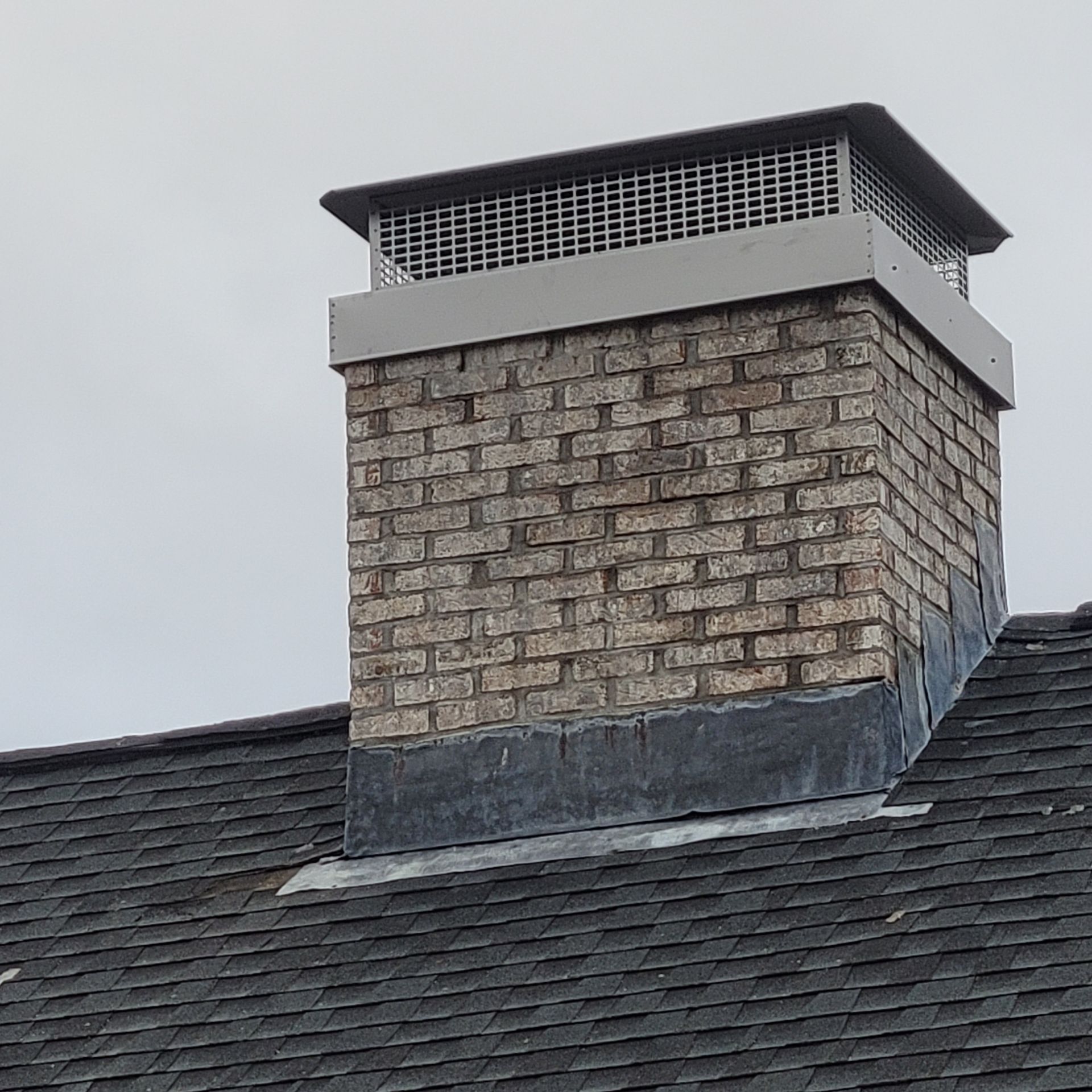 Chimney Guard