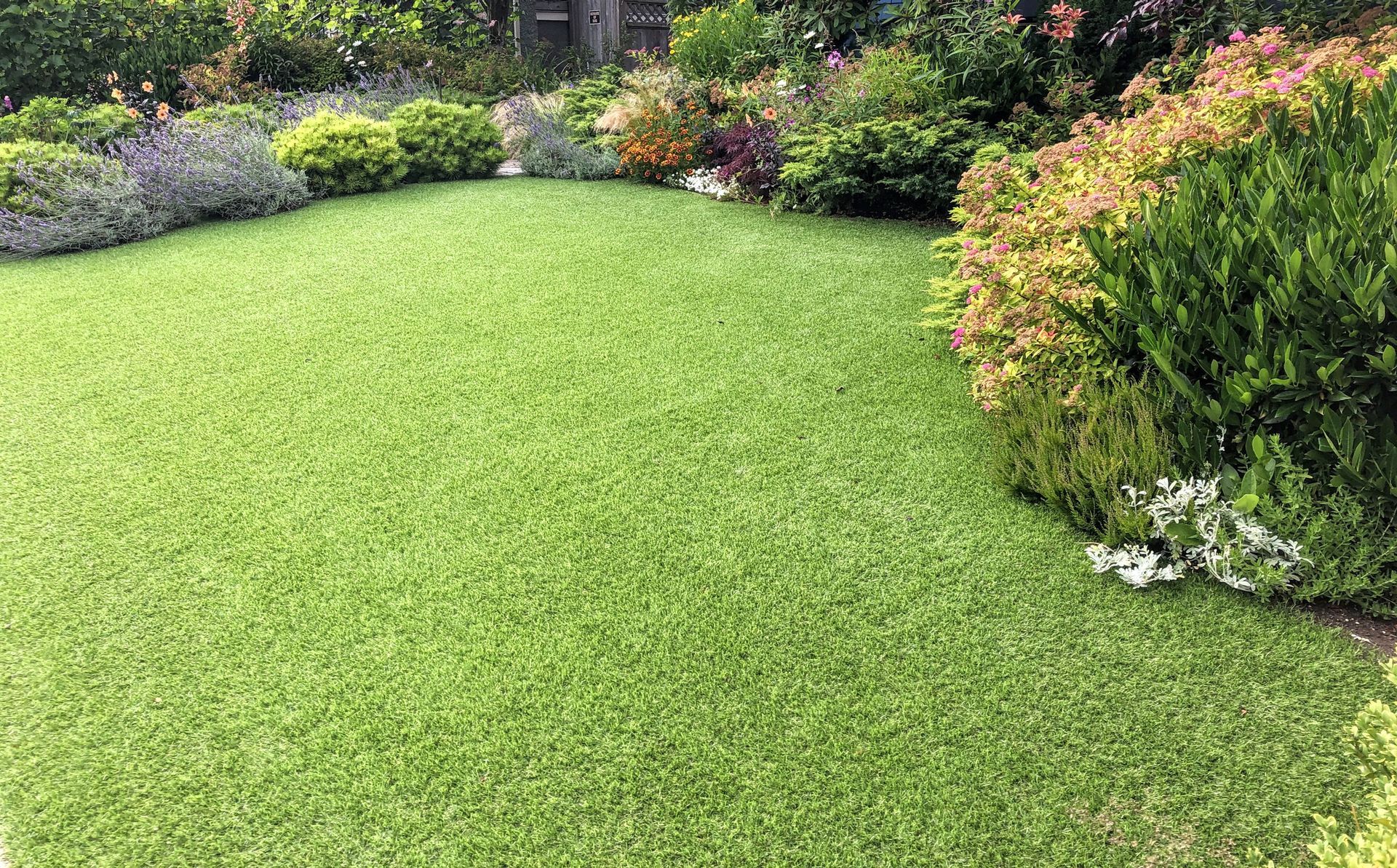 A beautiful artificial lawn in the front yard