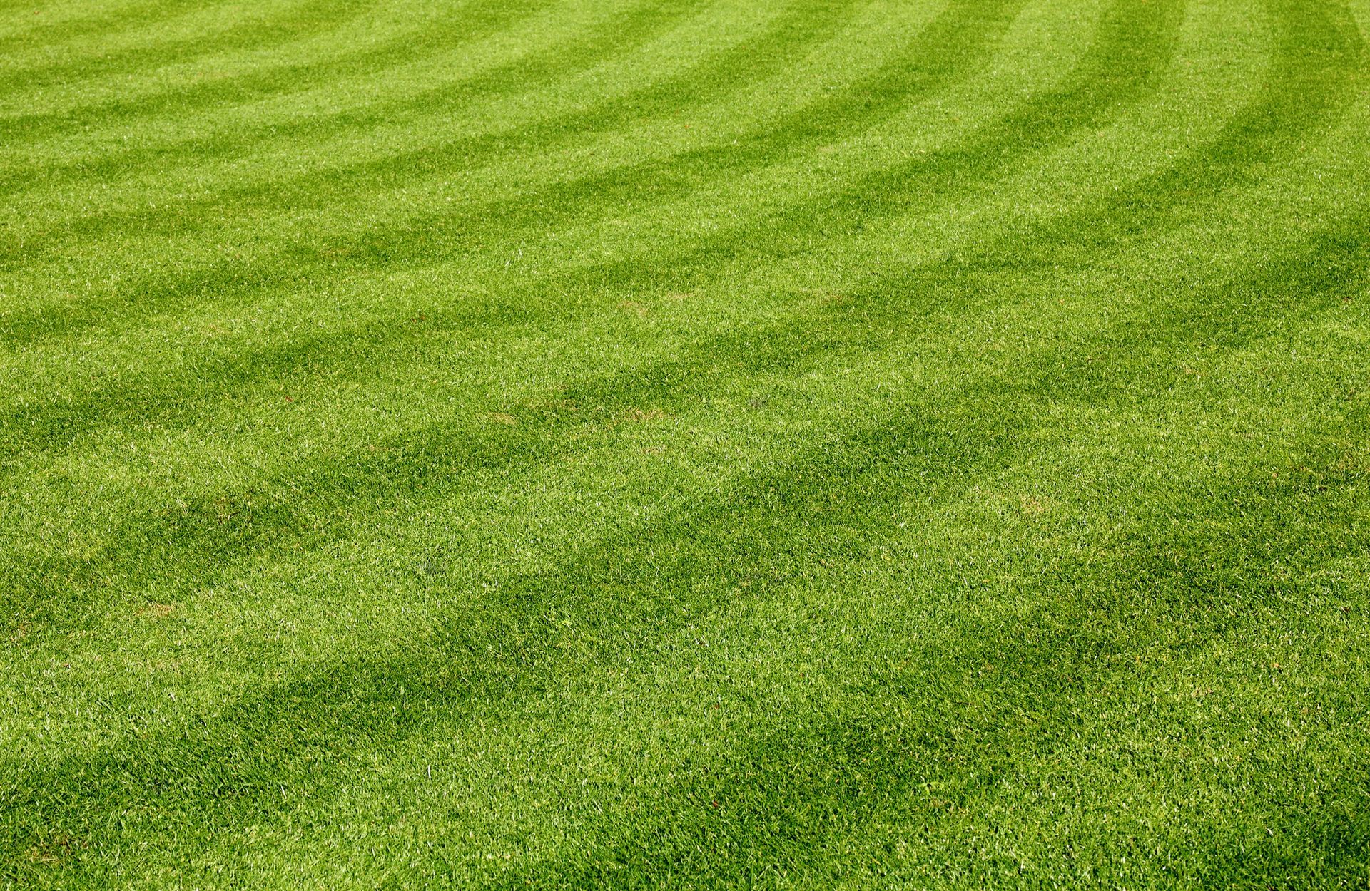 Green grass field done by a Turf Cleaning Company
