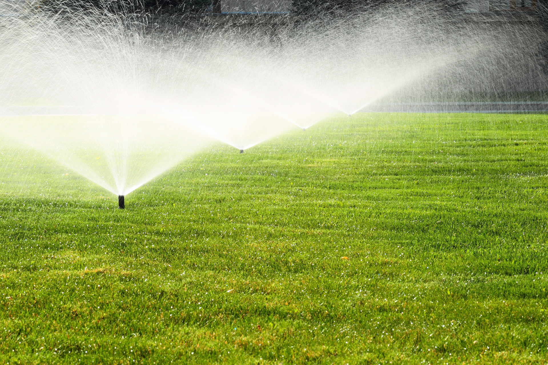 Garden sprinkler on the green lawn prepared by a Turf Cleaning Company