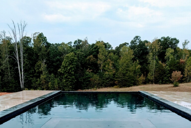 A pool facing the woods — Greenville, SC — AAA Custom Pools
