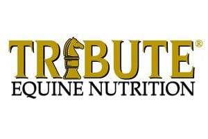 tribute equine nutrition