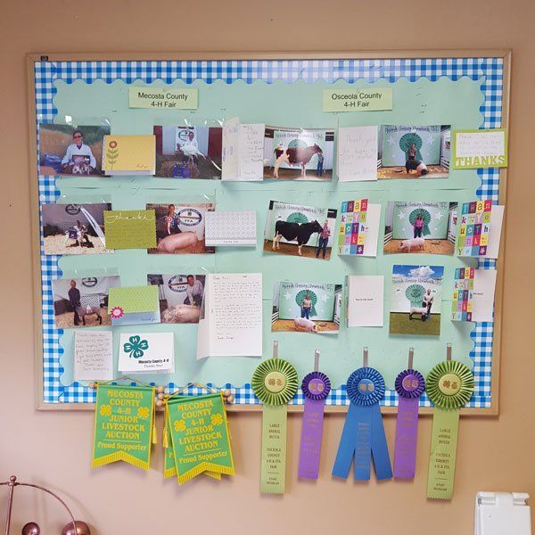county fair ribbons