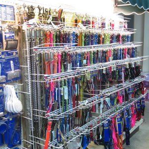 collars and leashes in store