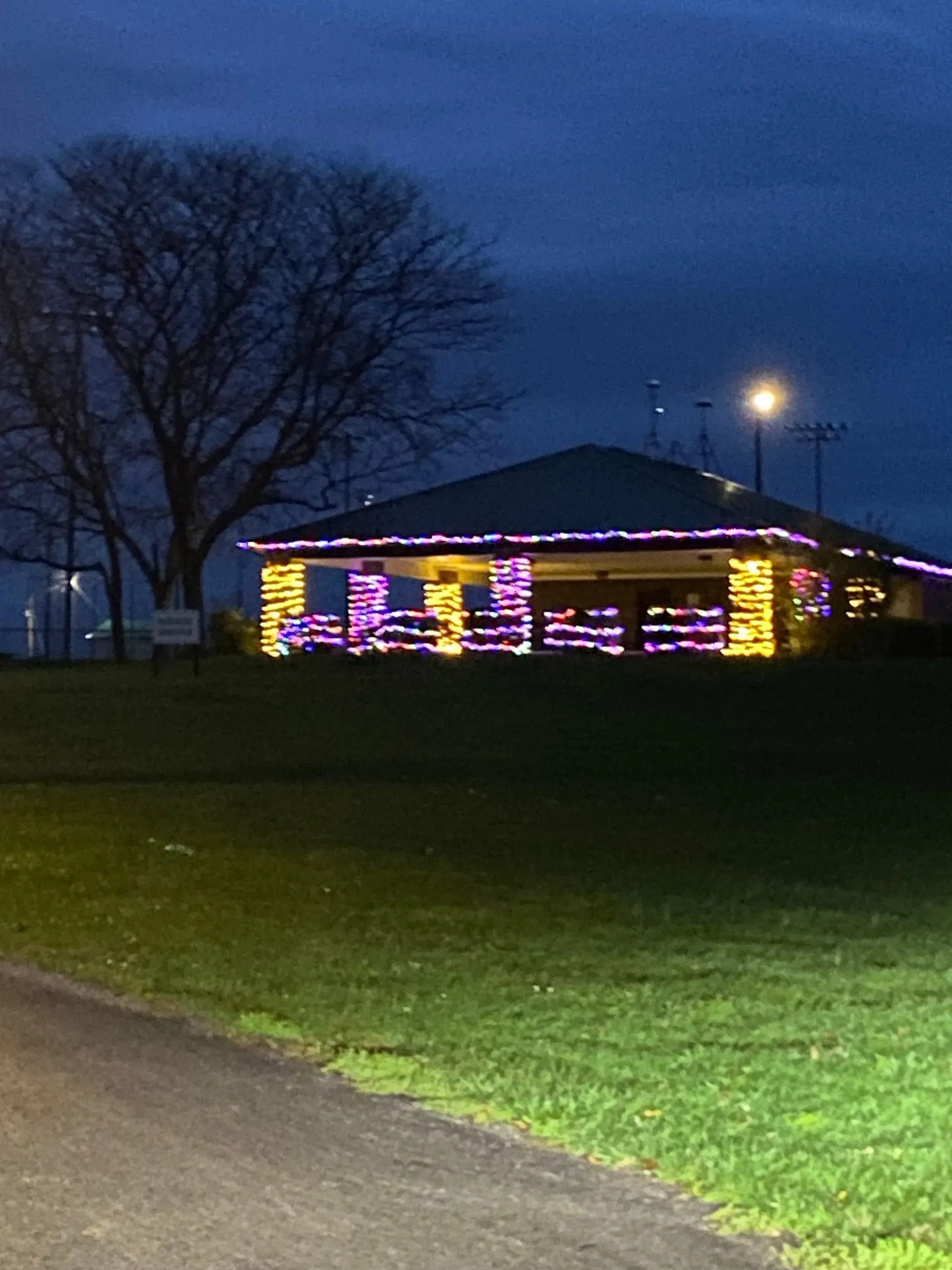 A pavilion at night, lit with purple and yellow lights, set in a grassy park with a bare tree.