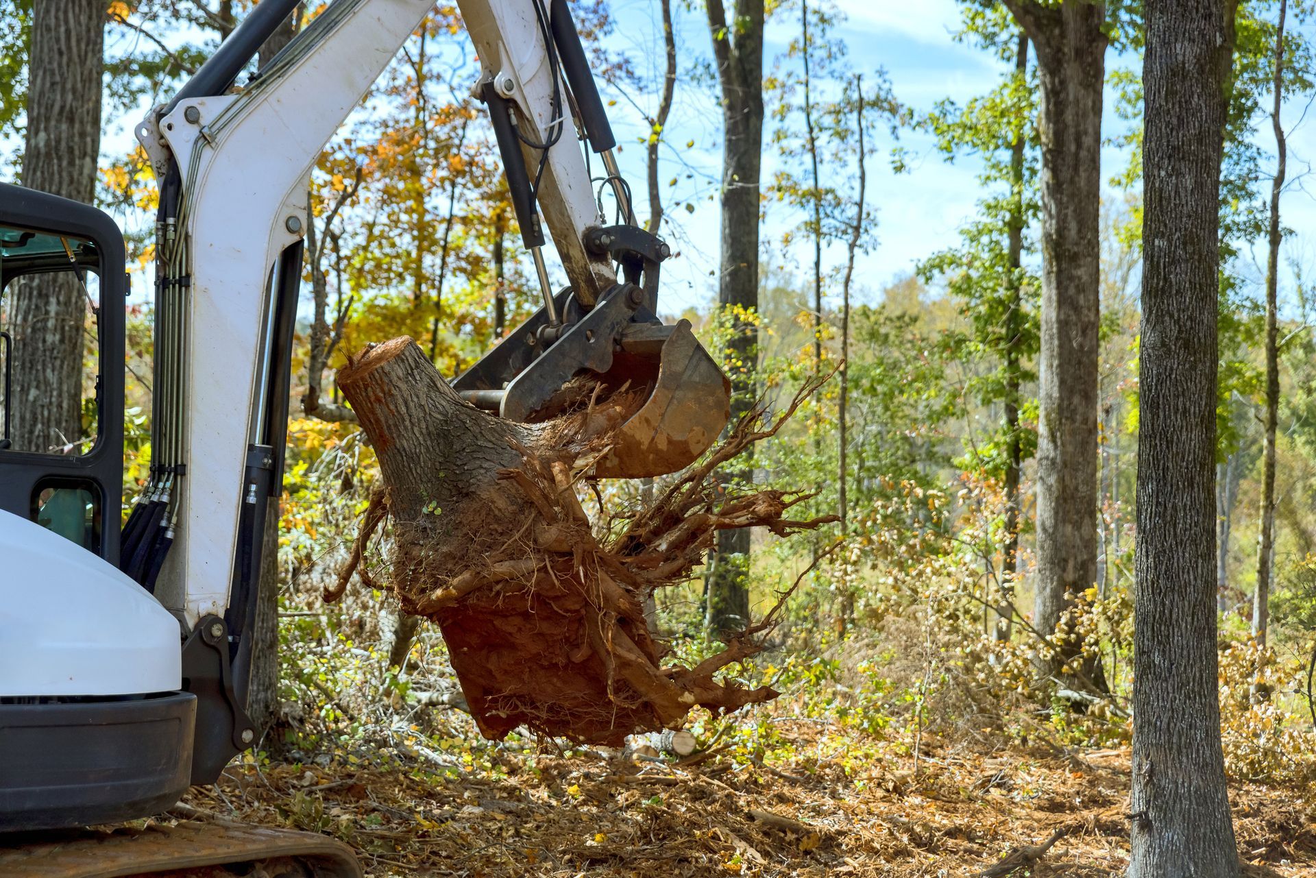 A white excavator lifting a tree stump from the ground in a wooded area.