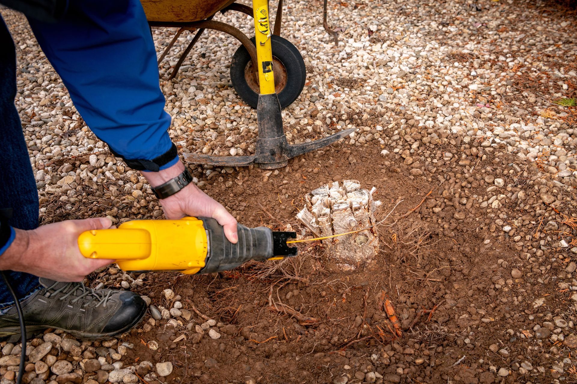 Arborist cutting an old stump using a Sawzall, showcasing expert local tree stump removal.