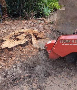 stump removal