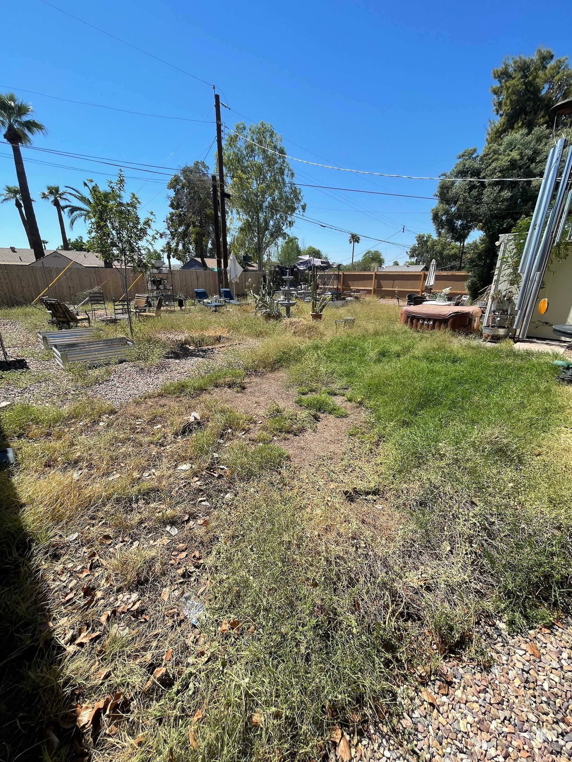 Yard Clean Up Before