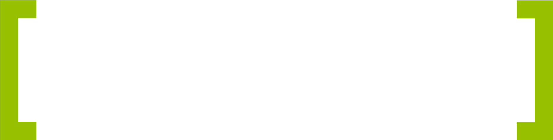 Wiesemann IT Systemhaus Logo