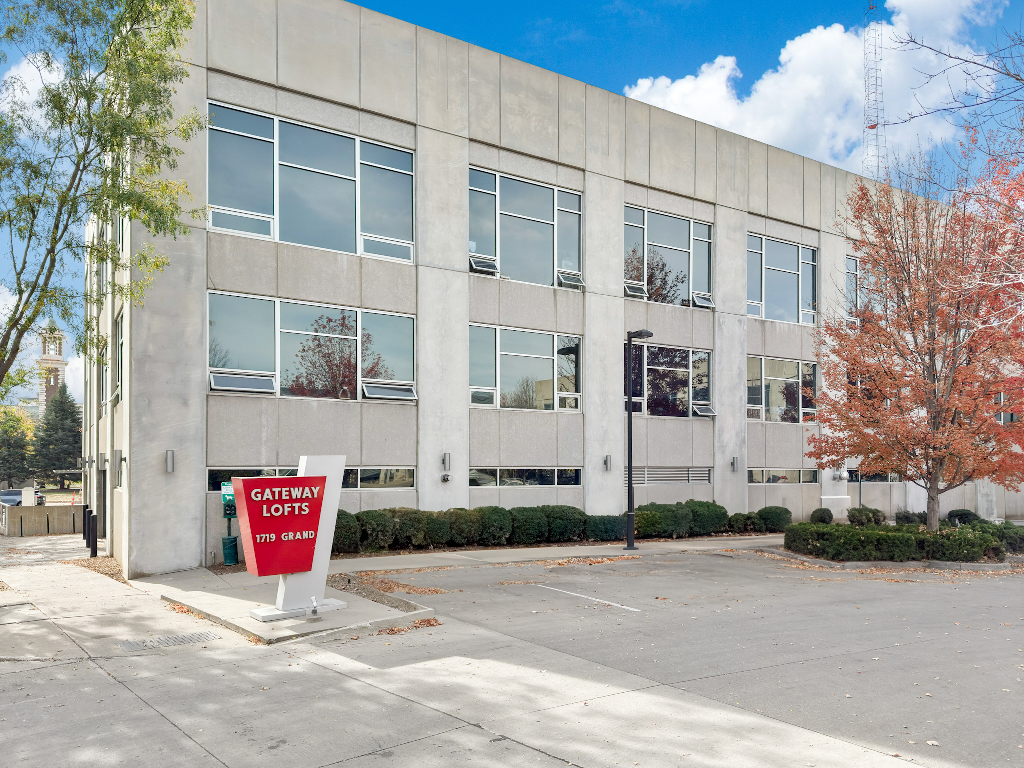 cat and person on laptop