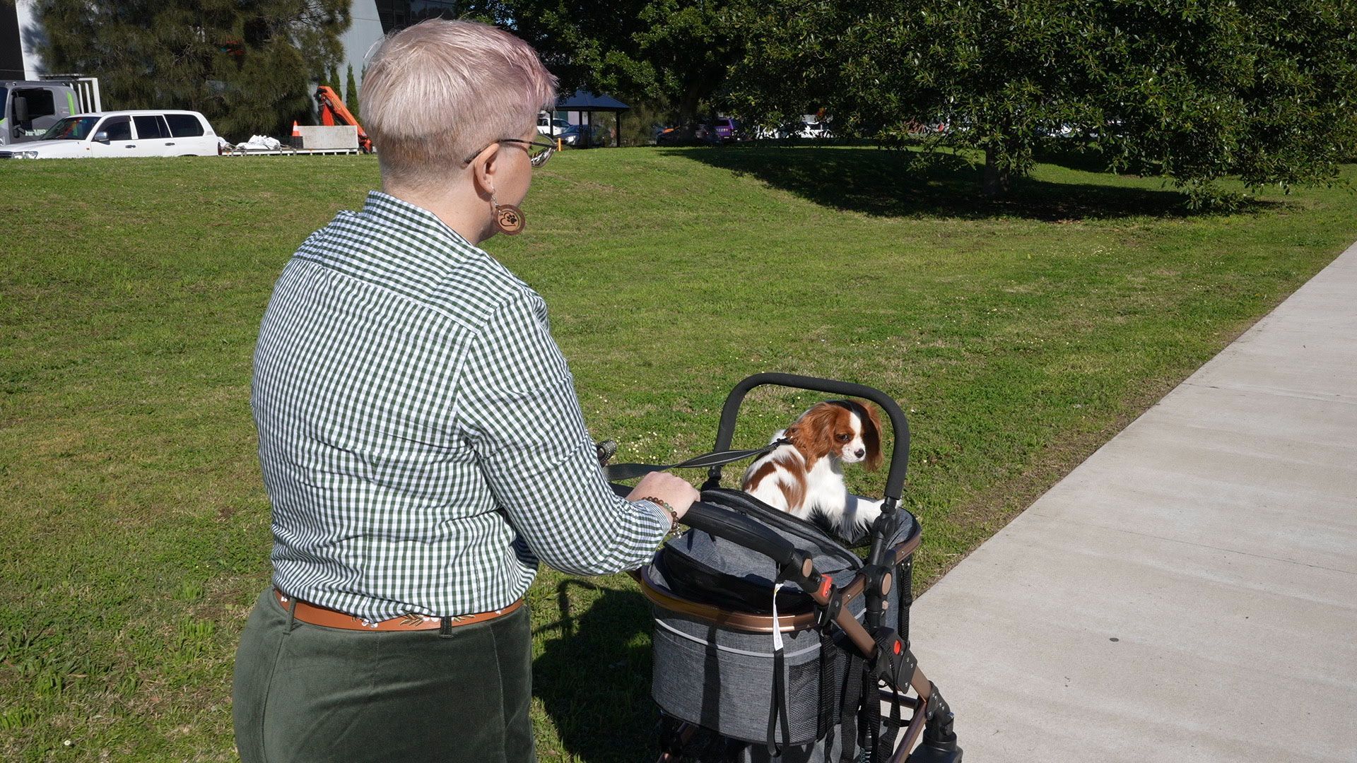 A man is pushing a stroller with a dog in it.