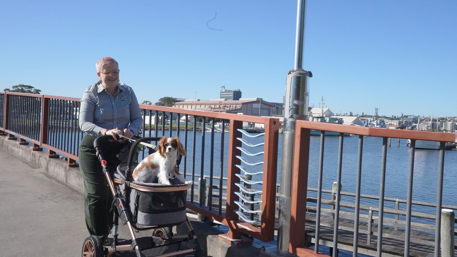A man is pushing a stroller with a dog in it.