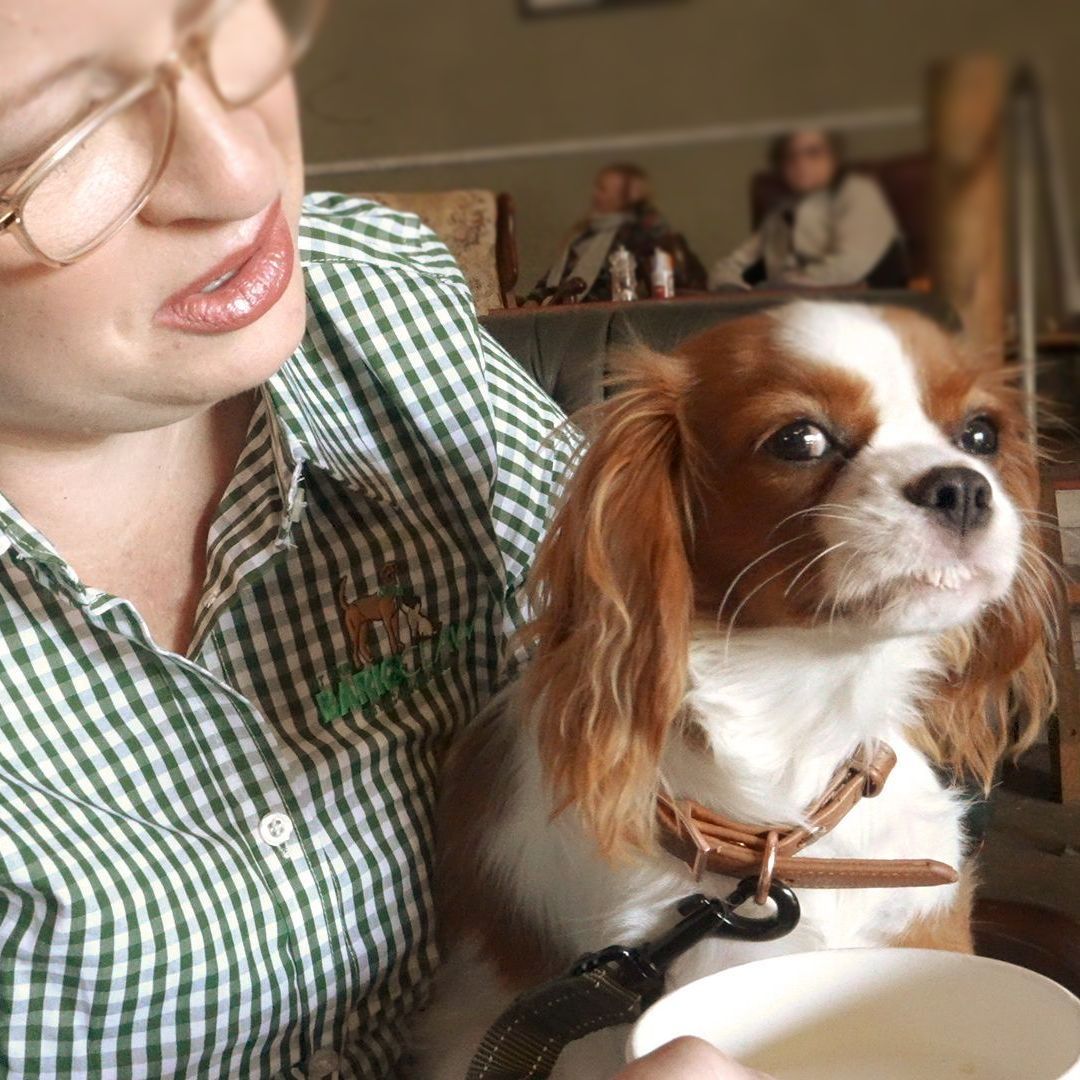 A dog and a cat are laying on the beach.