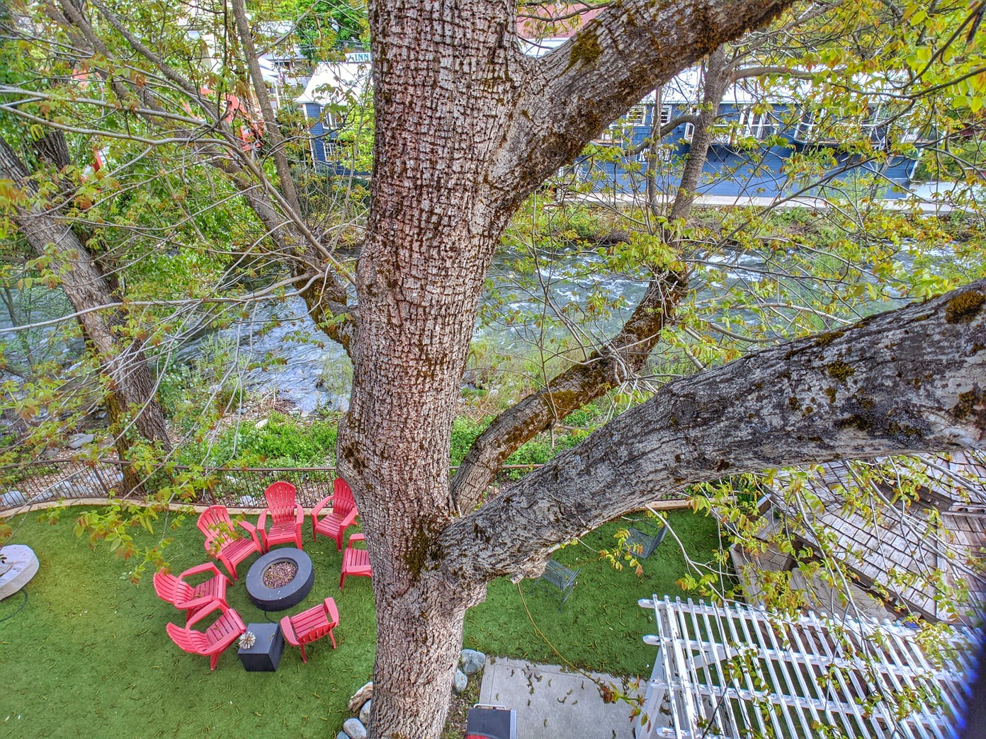 A group of red chairs are sitting under a tree in a yard.