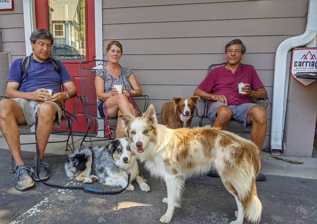 A group of people are sitting on a porch with their dogs.