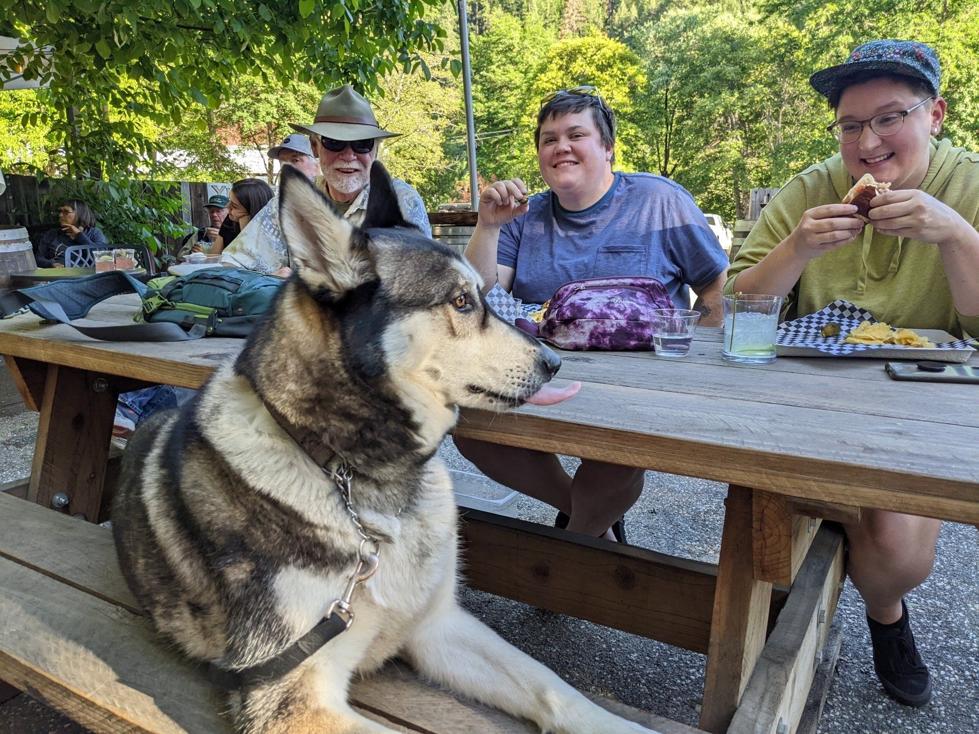 A dog is sitting on a bench next to two people at a picnic table.