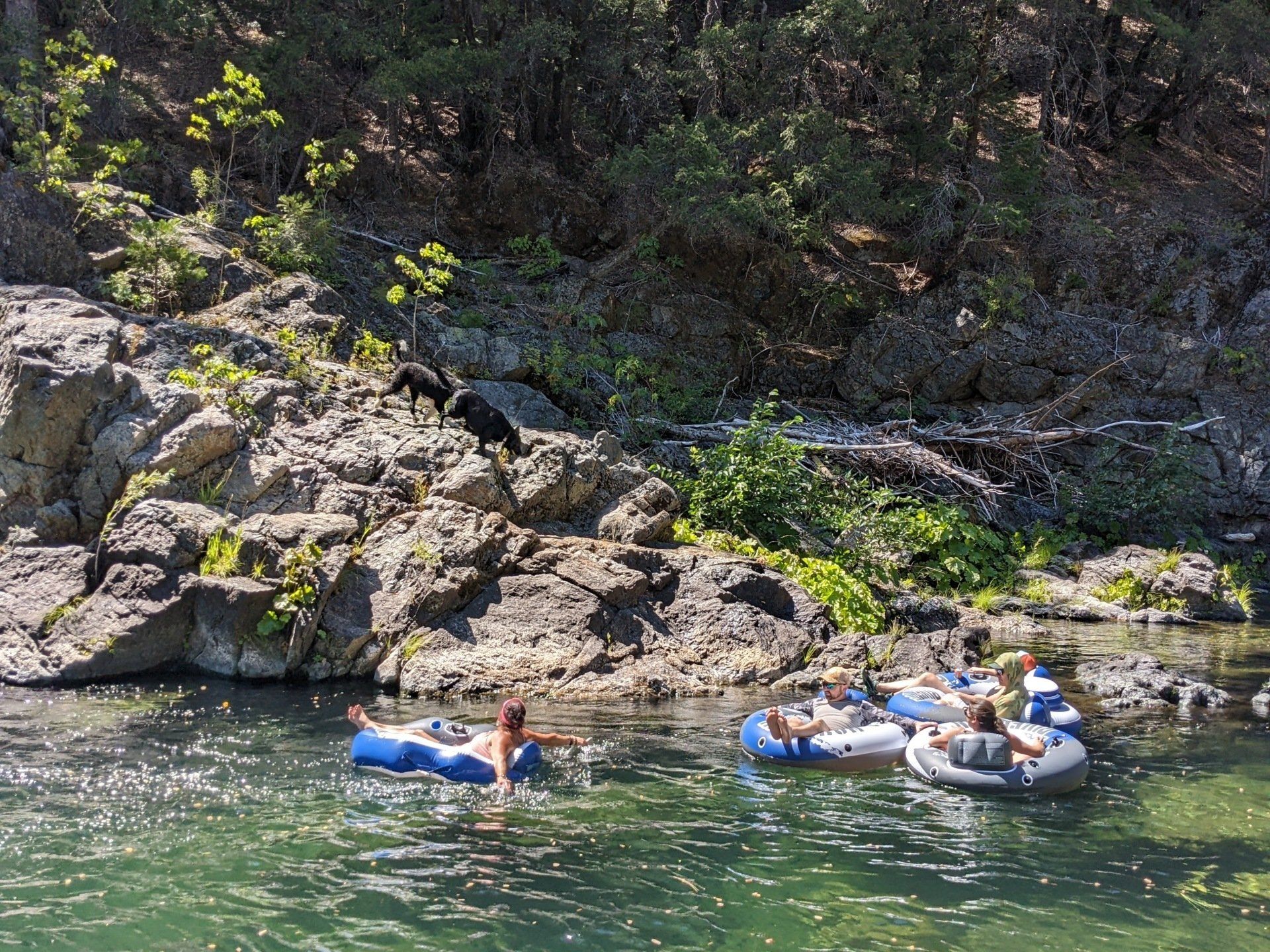 A group of people are floating on rafts in a river.