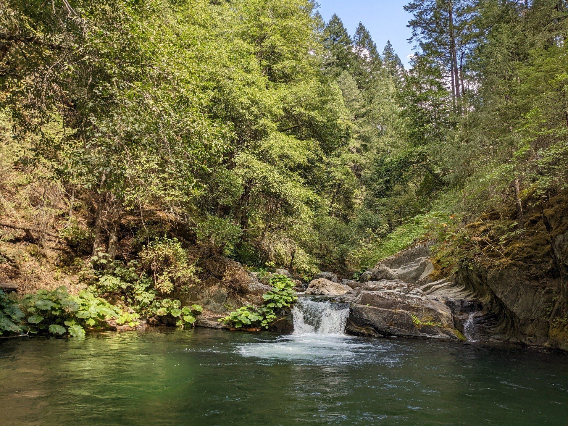 A small waterfall in the middle of a river surrounded by trees.