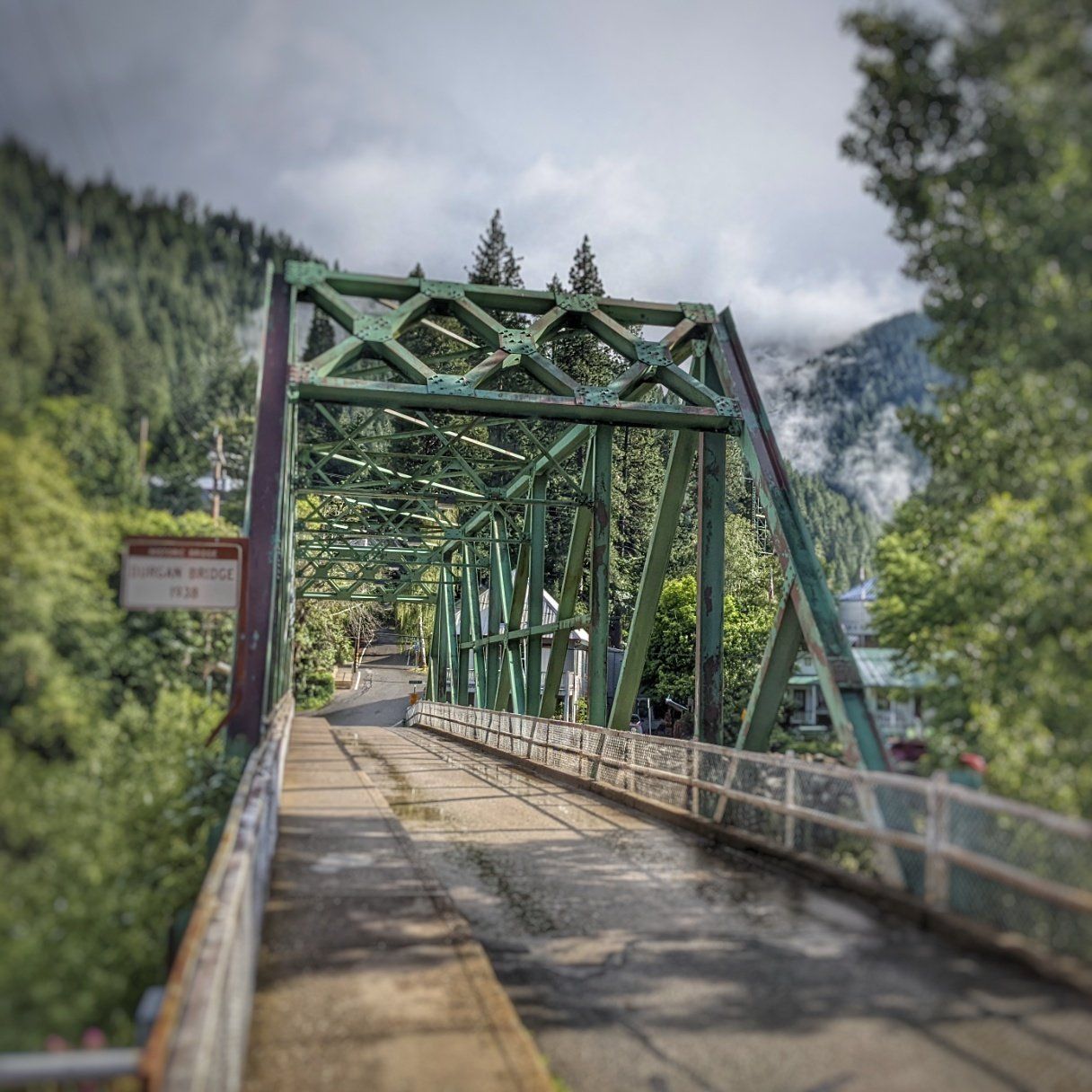 A green bridge over a road surrounded by trees and mountains.