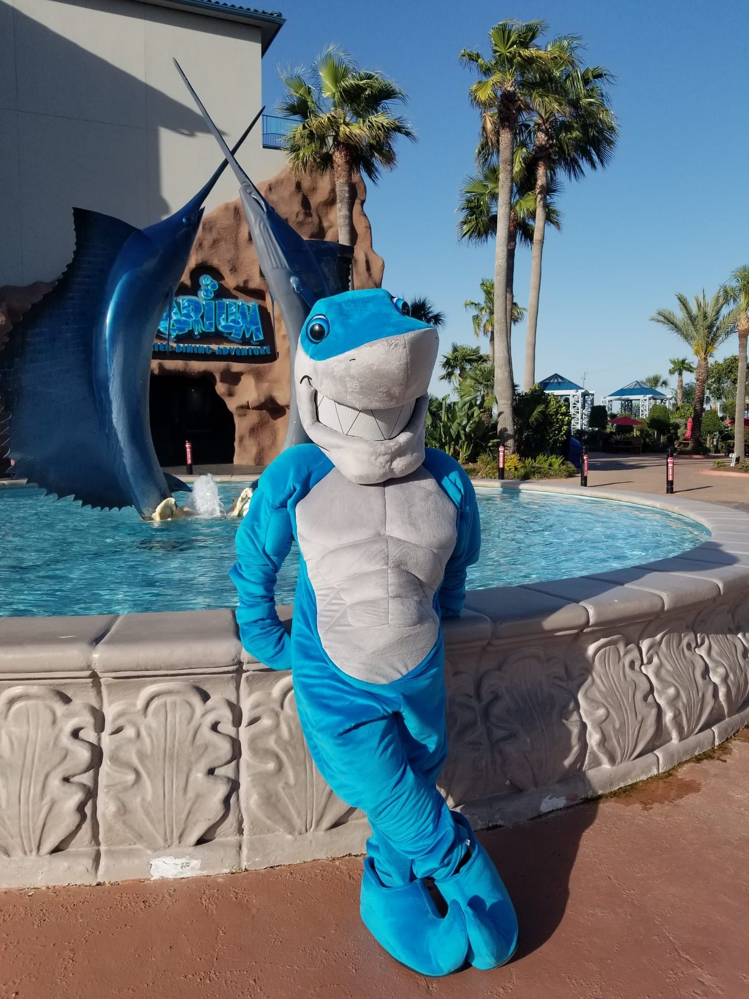 shark mascot aquarium