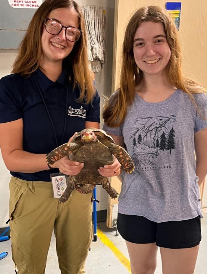 Two people smiling, holding a large turtle indoors.