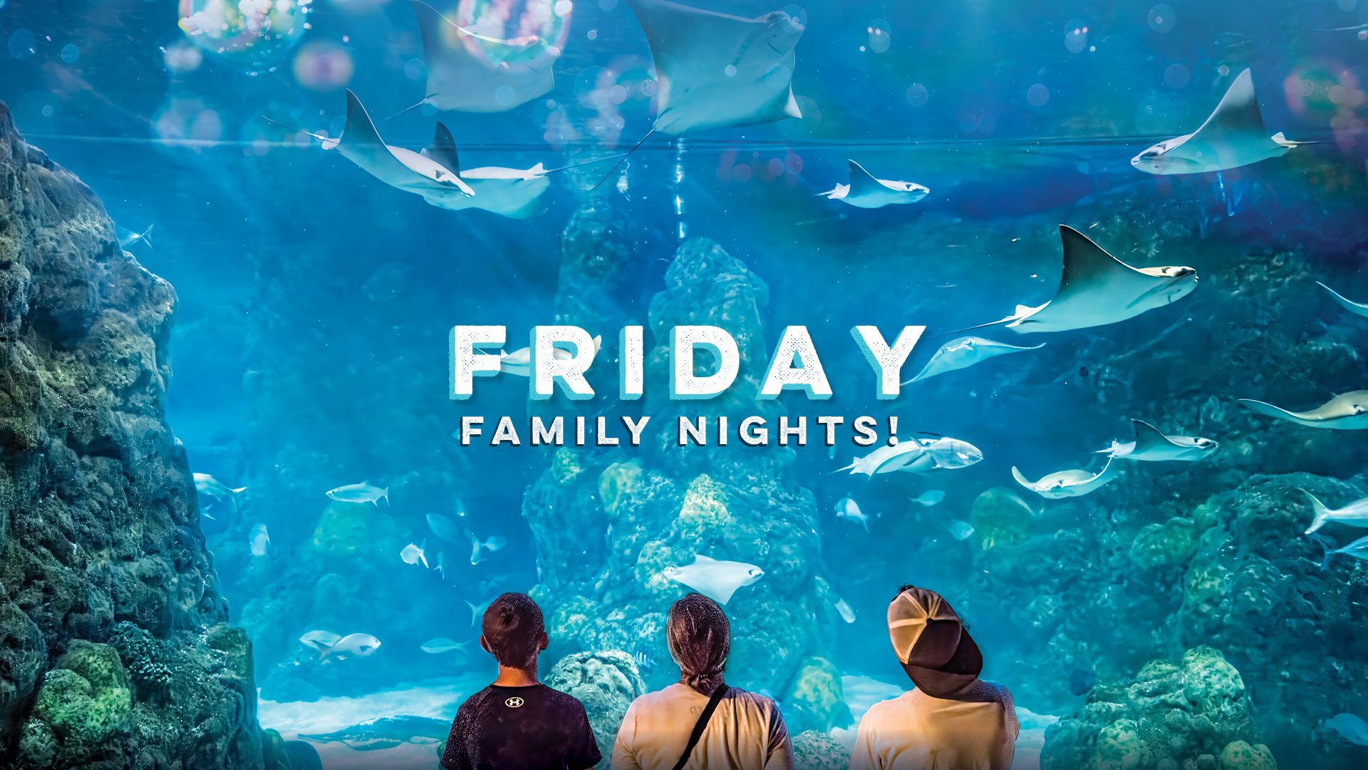 family friday nights aquarium