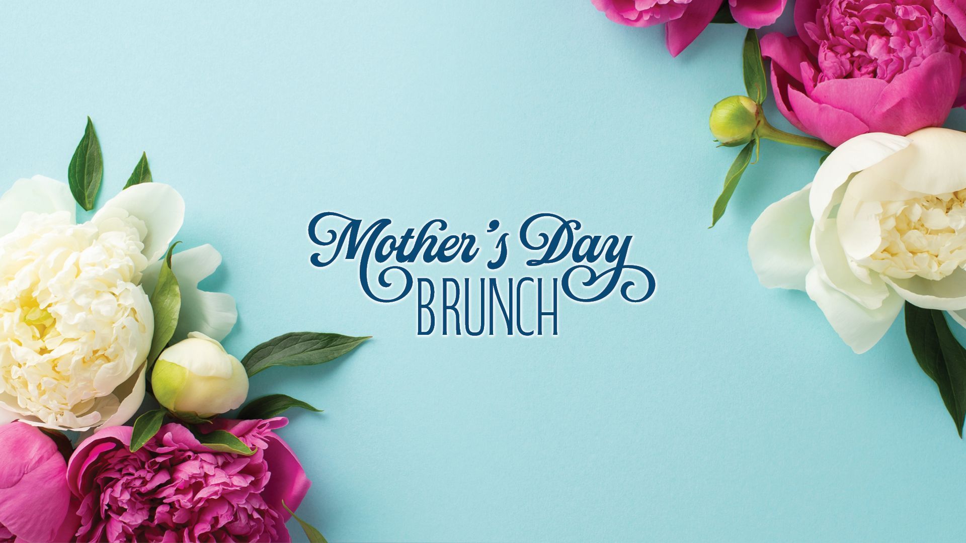 mothers day brunch aquarium