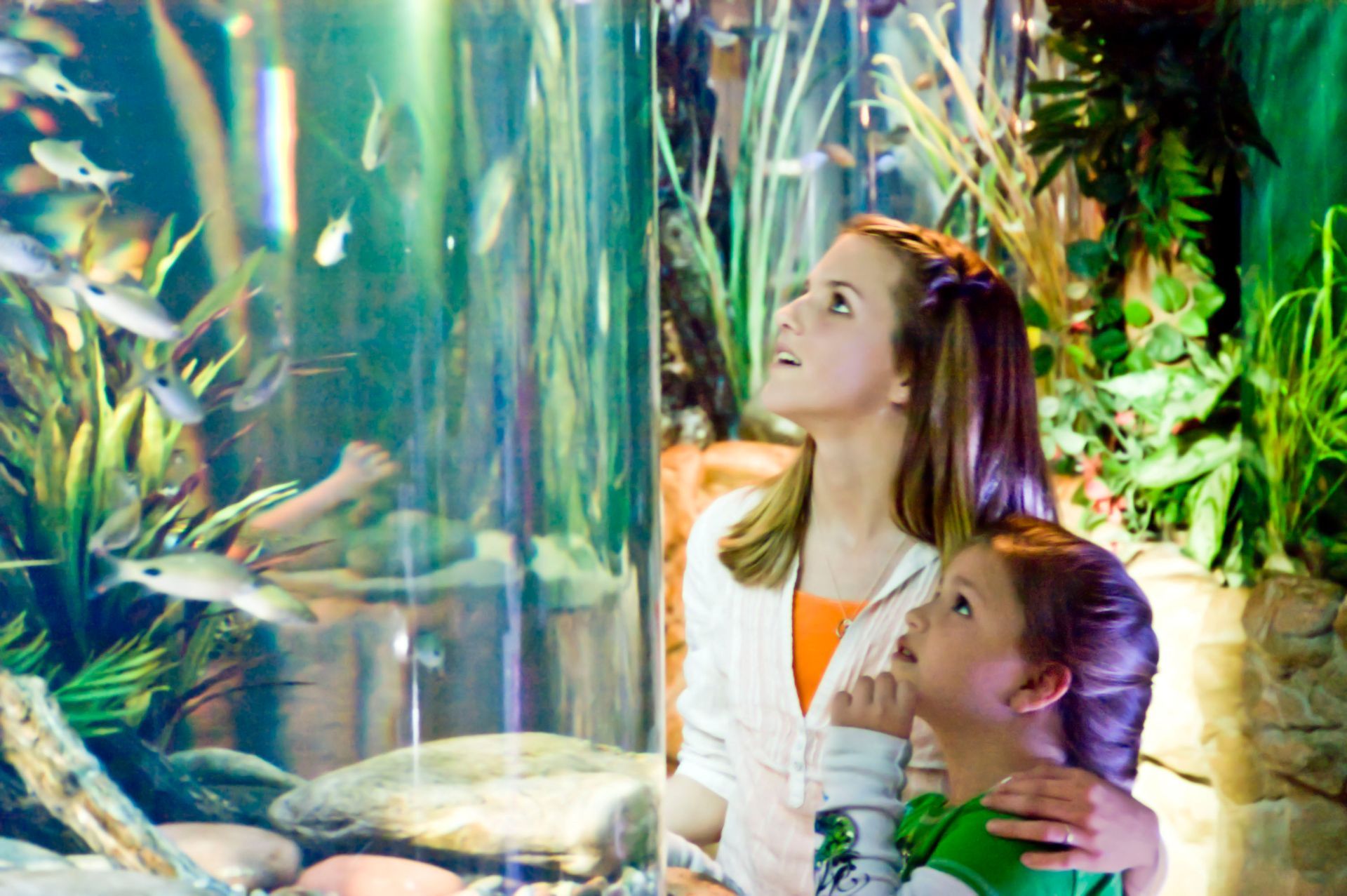 aquarium exhibit mother son