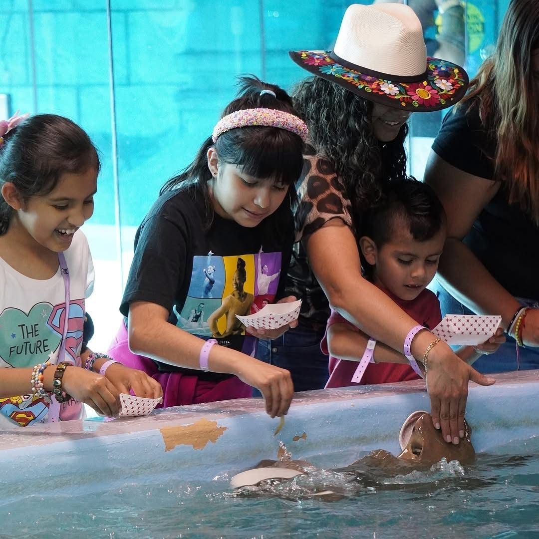 A woman and two girls are touching a stingray in a tank.