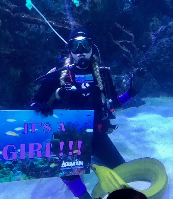 A scuba diver holding a sign that says it 's a girl
