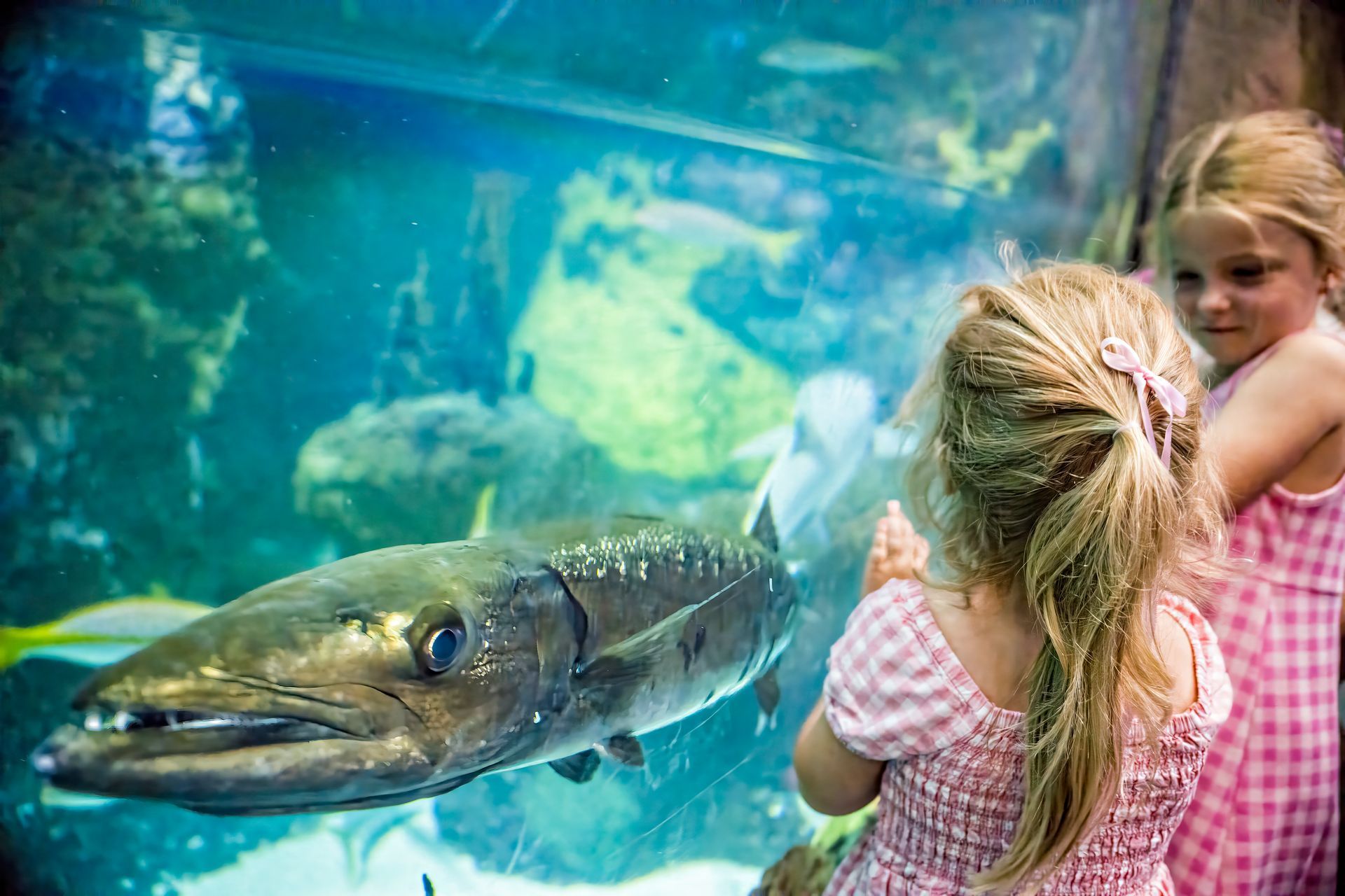 sisters watching fish in aquarium tank