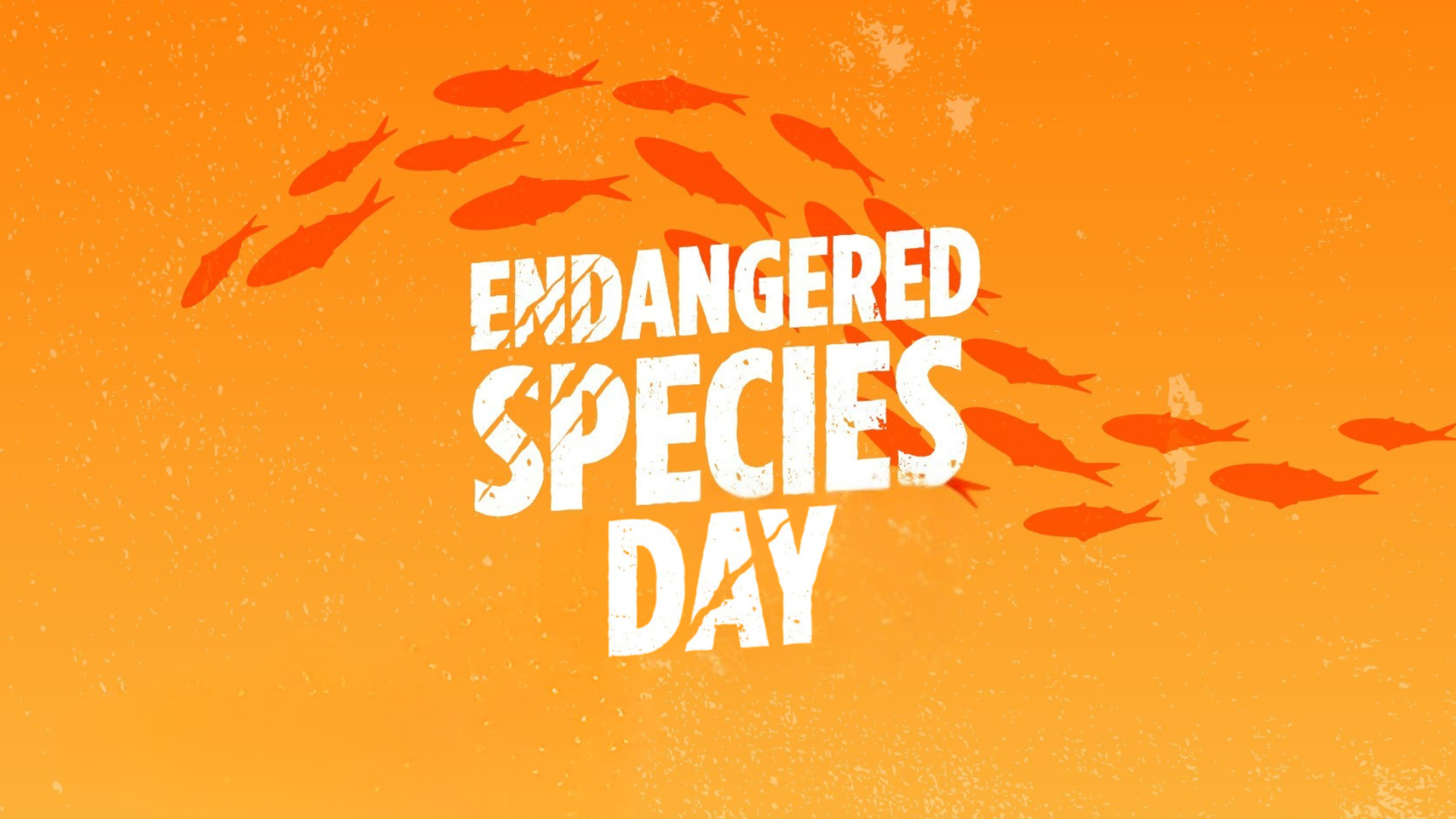 endangered species day aquarium