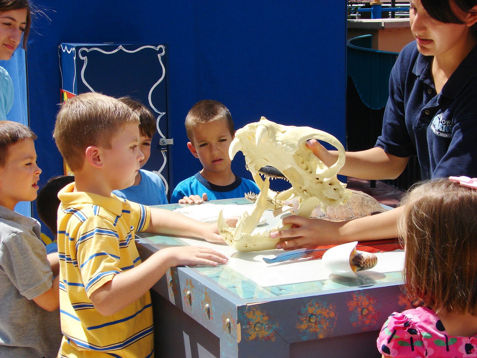 Children examine a skull with a teacher at an outdoor exhibit; blue background.