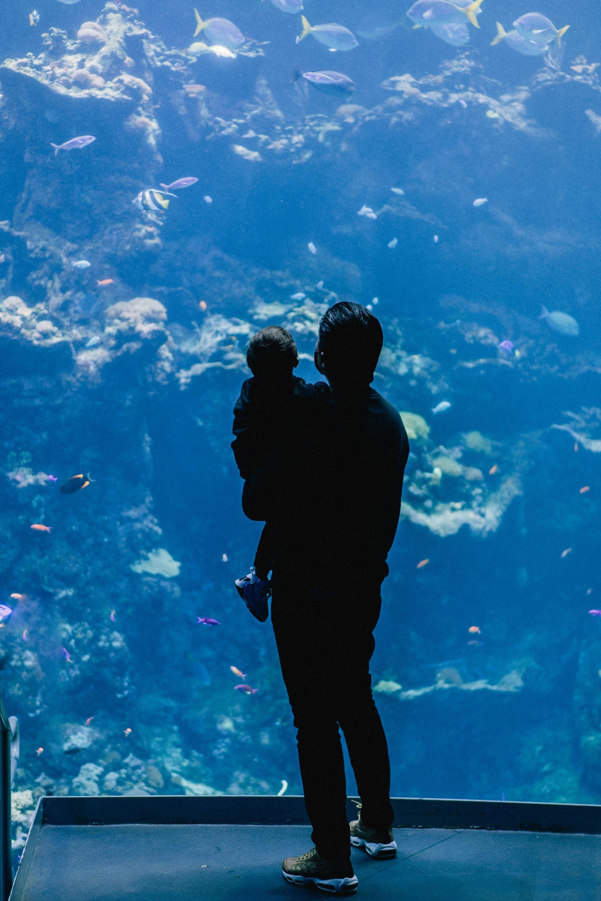 people standing in front of aquarium