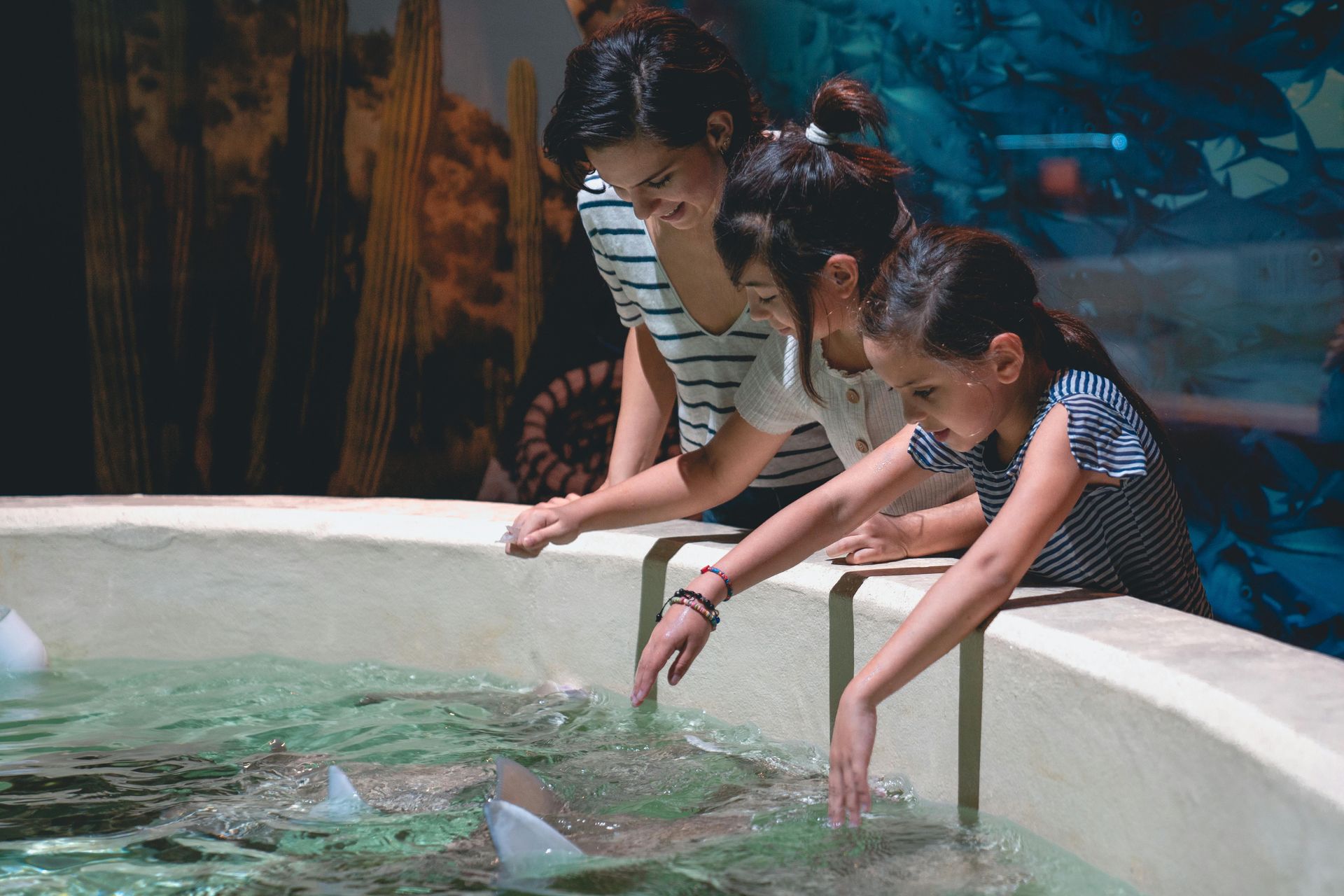 A stingray is swimming in the water and looking at the camera.
