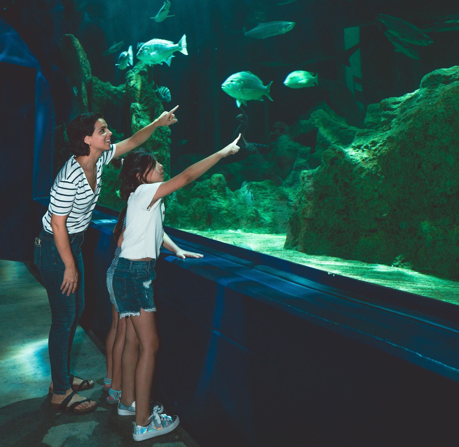 A woman and a girl are looking at fish in an aquarium