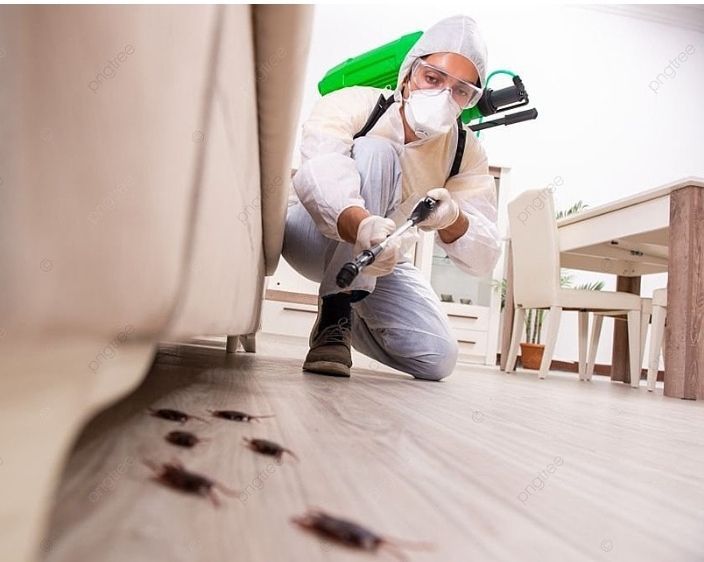 Pest control