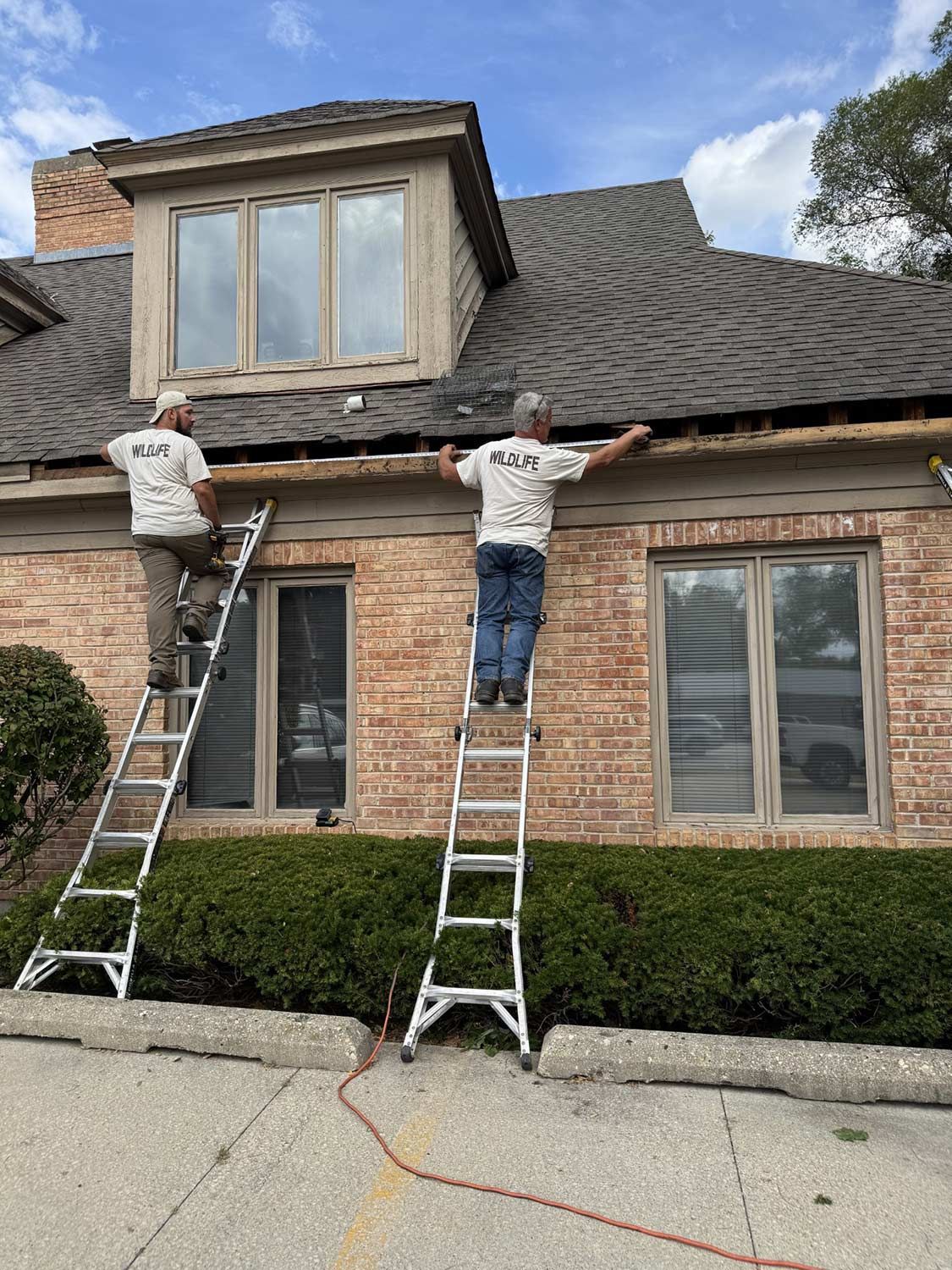 Before attic restoration