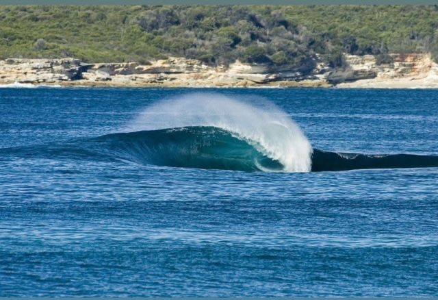 A wave is breaking in the ocean with trees in the background.