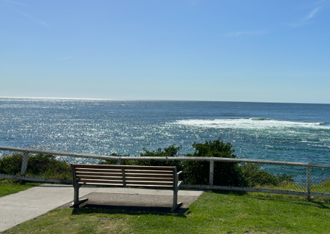 A bench overlooking the ocean on a sunny day