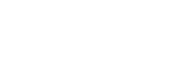 VIP Management Logo